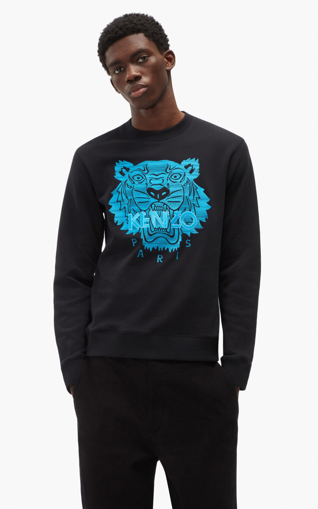 Kenzo Tiger Sweatshirt Erkek Siyah | 5609-ZVGNL